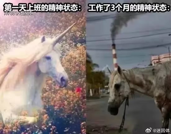 via 6号沙雕网友