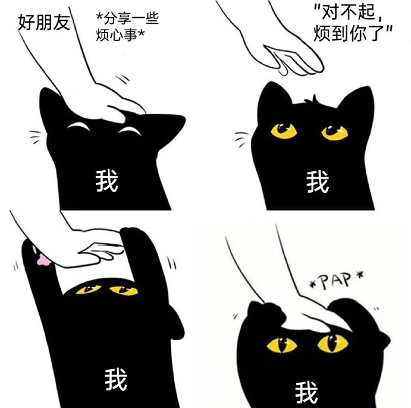 from 猫猫窝🐱