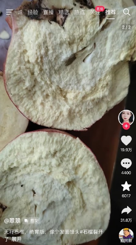 无籽…石榴……？😦from 平壤卫视无籽…石榴……？😦from 平壤卫视