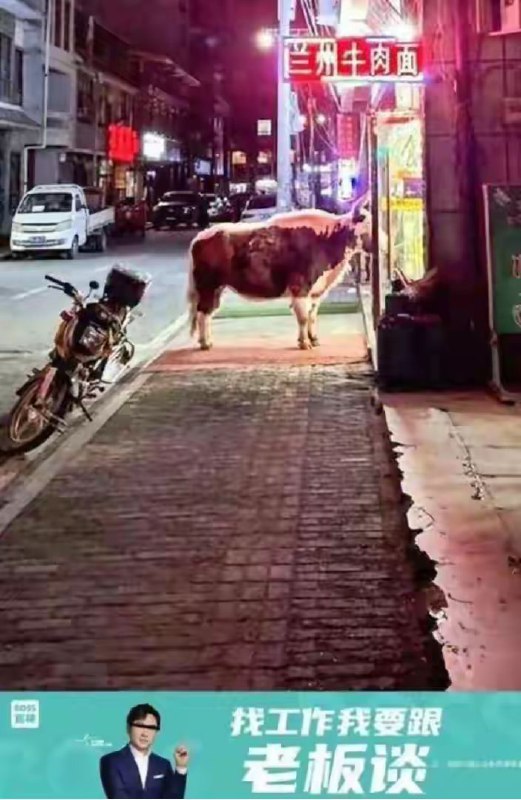 笑点解析 