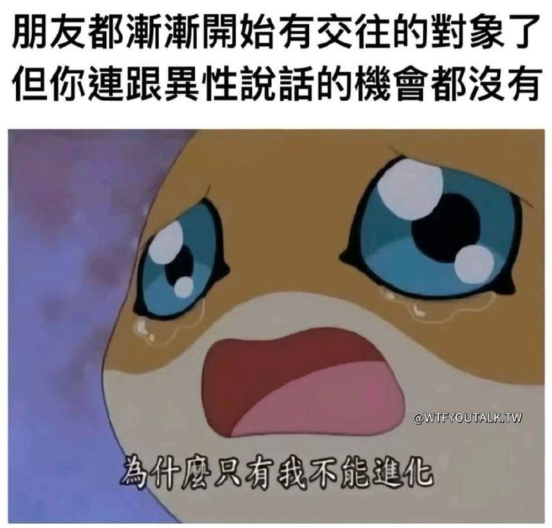 from 什麼都來點 via DECADE