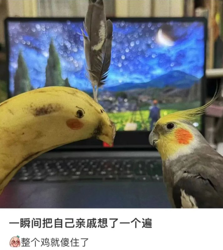 鹦鹉内心