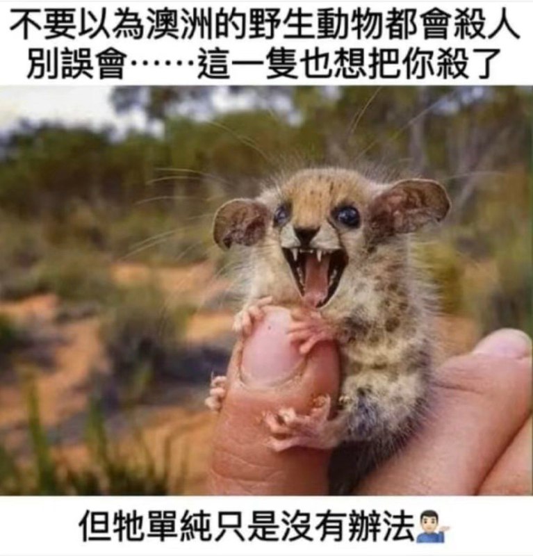 from 猫猫窝🐈🐈‍⬛️