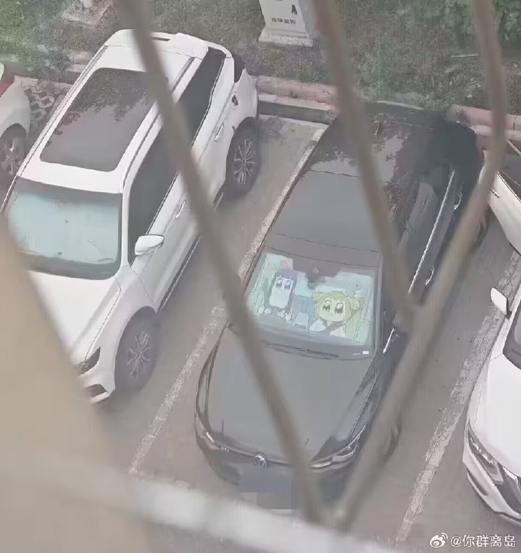 via 6号沙雕网友