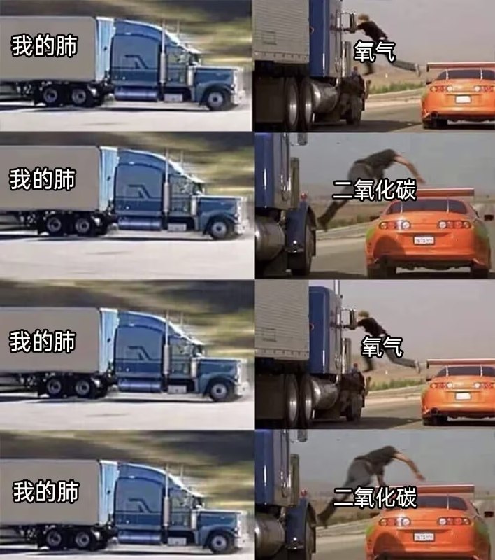 via 8号沙雕网友