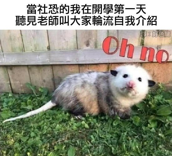 via 6号沙雕网友