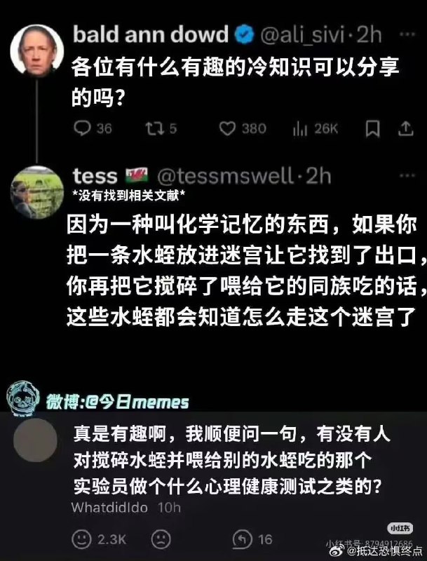 via 8号沙雕网友