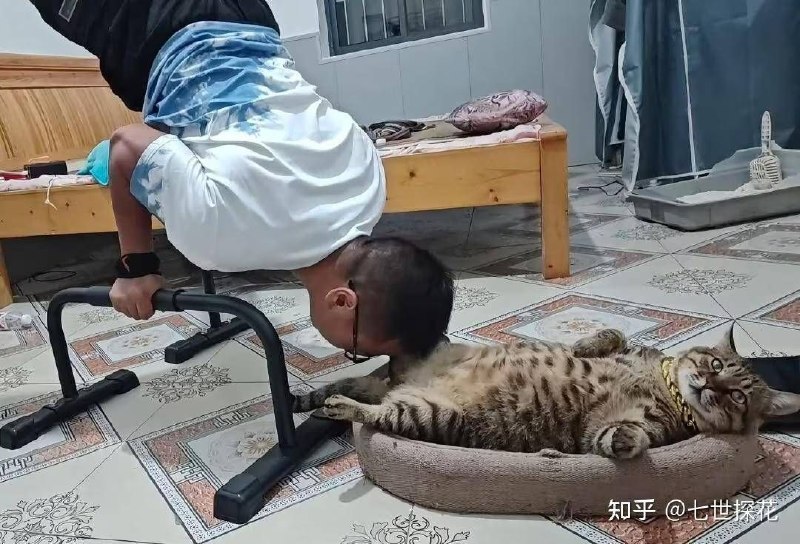 from 什麼都來點 via DECADEfrom 什麼都來點 via DECADE