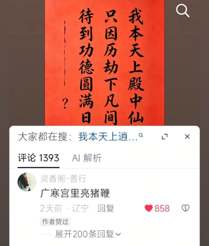好文采👍🏻from 平壤卫视
