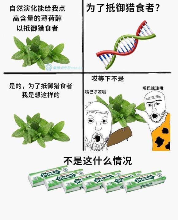 标题五个字还有这个类型的meme图吗？乐死我了标题五个字还有这个类型的meme图吗？乐死我了