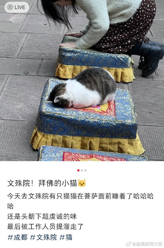 via 君生我未生，我生君已老
