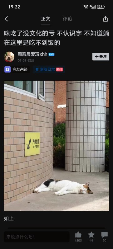 from Anzu什么都发 via electri