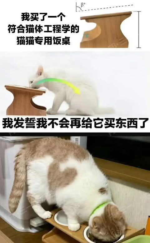 from 什麼都來點 via DECADE