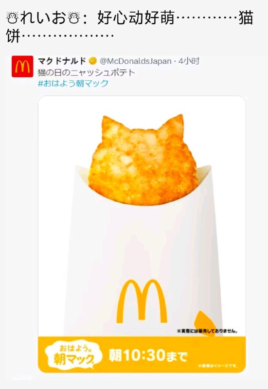 from 猫猫窝🐱
