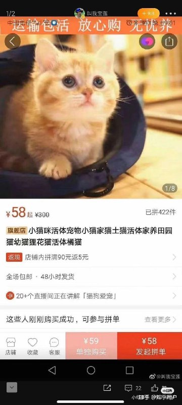 逆天via Czk 半死不活逆天via Czk 半死不活