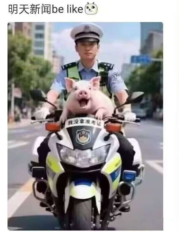 from 平壤卫视