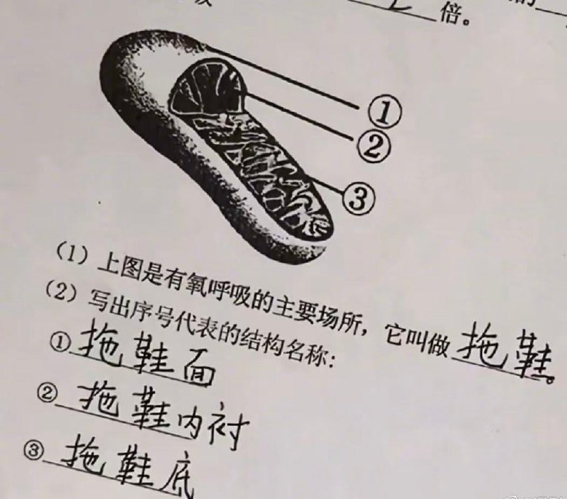 from 平壤卫视