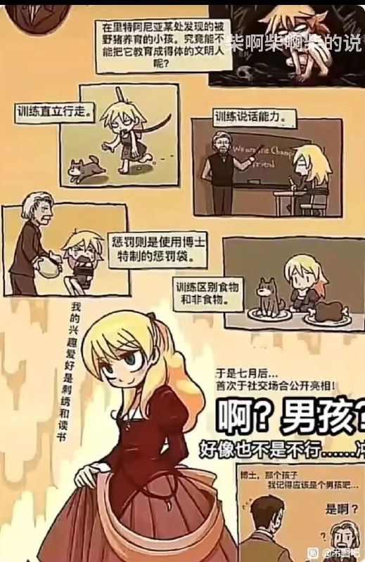 请求原图via LDLD 果冻