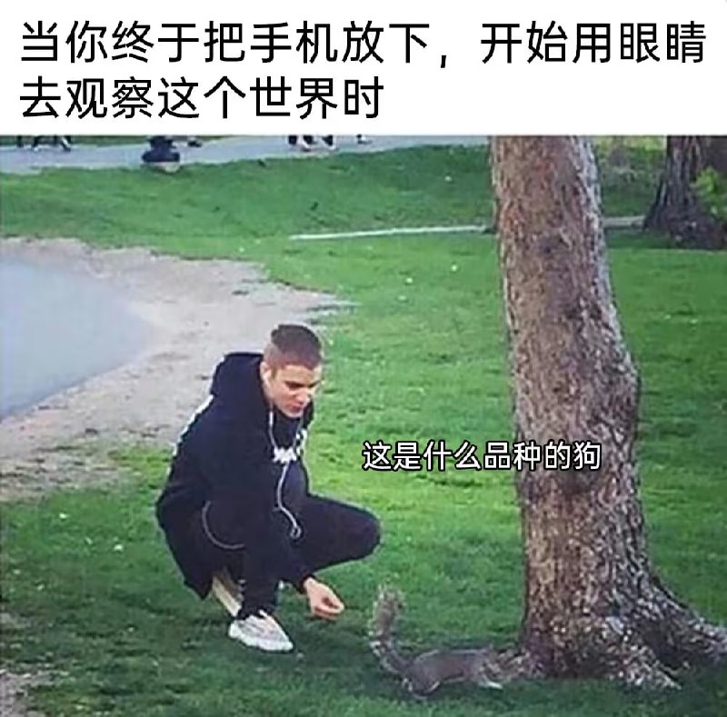 via 7号沙雕网友