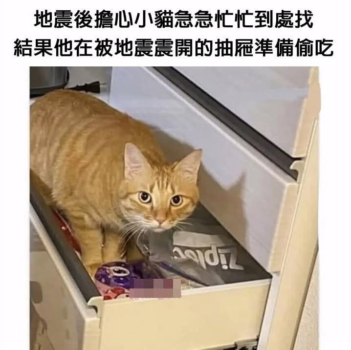 from 什麼都來點 via DECADE