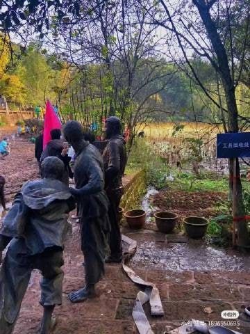 出淤泥而全染,濯清涟而贼妖  #学校每年会举办挖藕大赛出淤泥而全染,濯清涟而贼妖  #学校每年会举办挖藕大赛