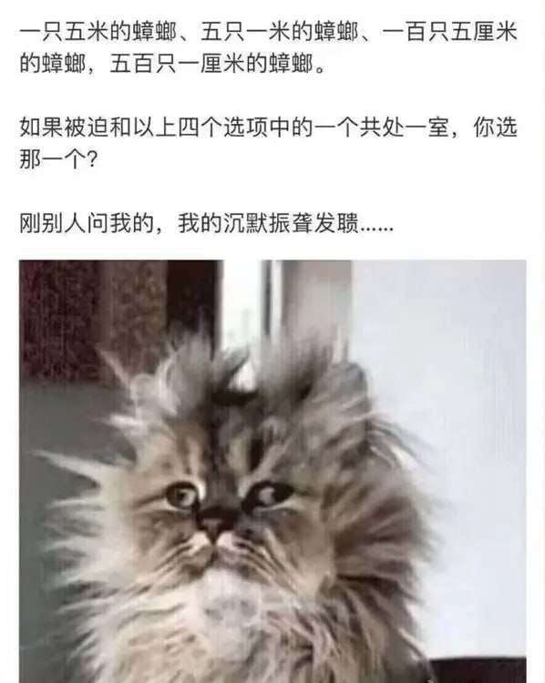 via 6号沙雕网友
