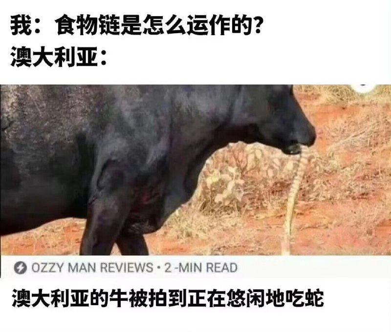 from 什麼都來點 via DECADE