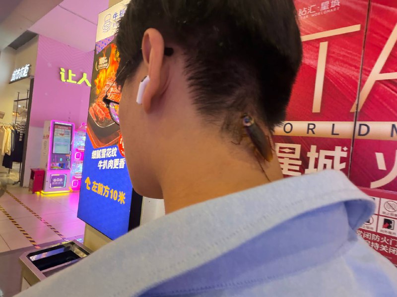 走在路上觉得脖子痒痒的，以为是蜜蜂小心翼翼地把手机伸到后面拍了一张，现在我想请问截肢的话是一般是保留上半部份还是下半部份？