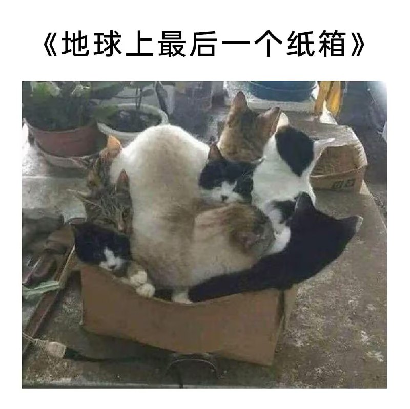 via 7号沙雕网友