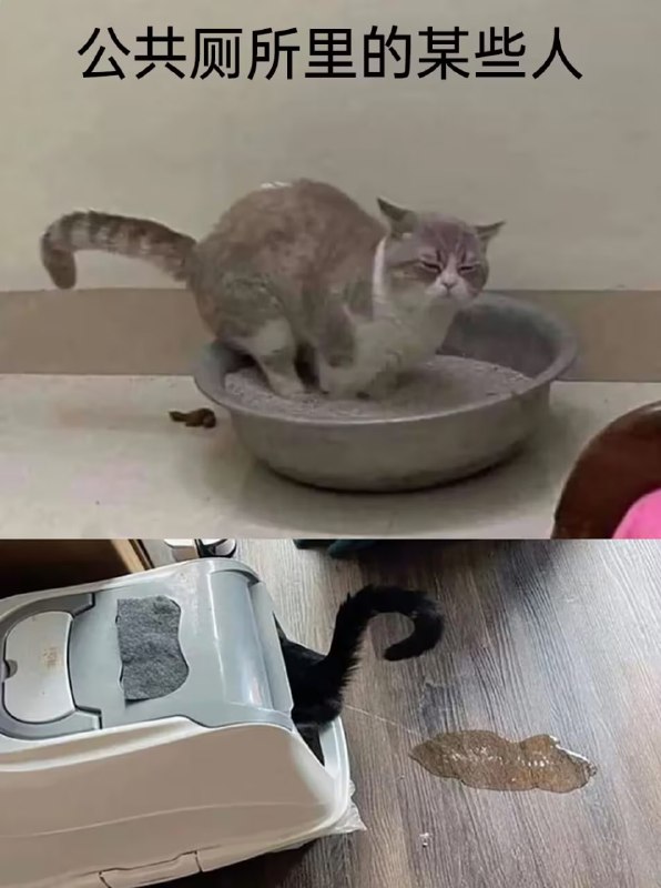 via 8号沙雕网友