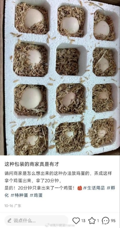 via 8号沙雕网友