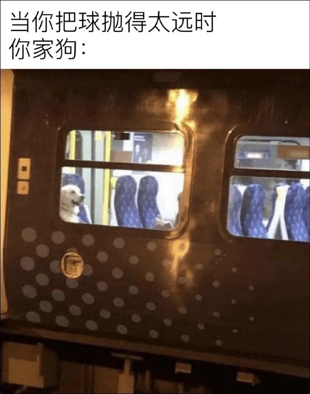 from 什麼都來點 via DECADE