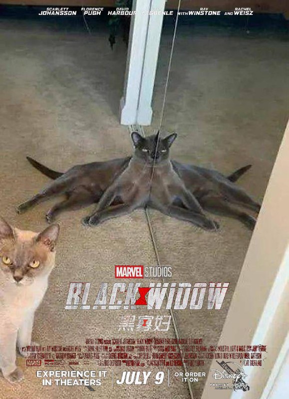 猫星大电影 #海报🐱👀 via豆瓣猫星大电影 #海报🐱👀 via豆瓣