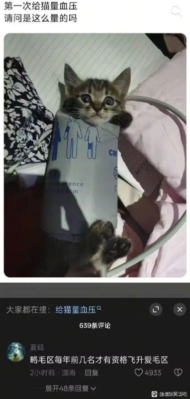 via 8号沙雕网友