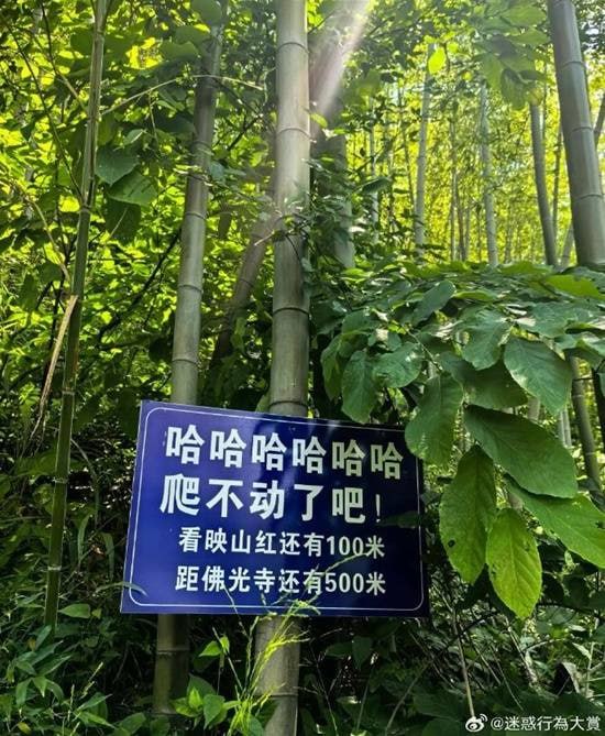 via 7号沙雕网友via 7号沙雕网友
