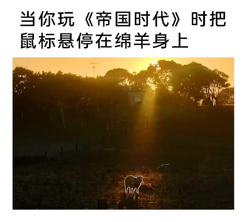 via 7号沙雕网友