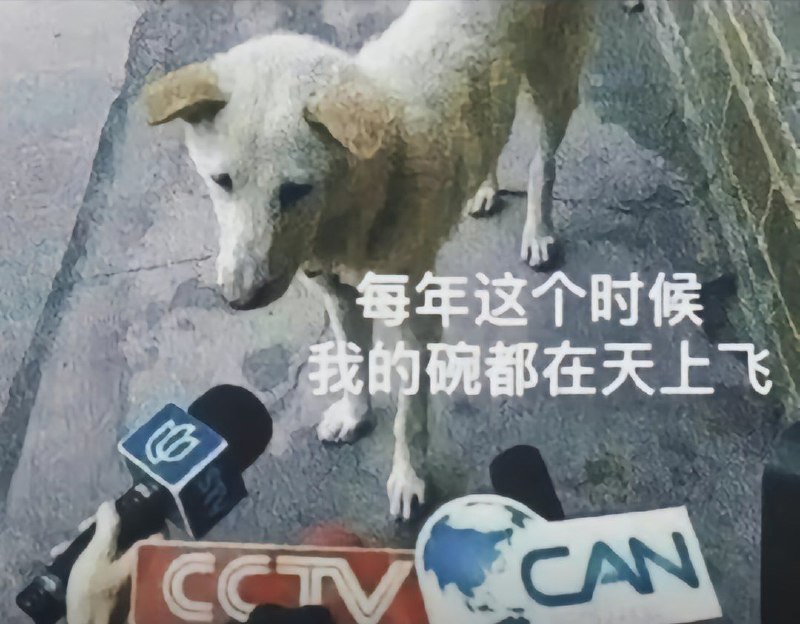 from 柒柒 の 浮镜如戏