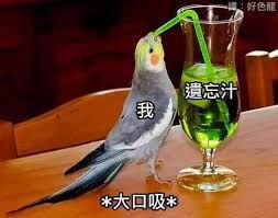via Lila Lamfrom 心惊报 via Desirevia Lila Lamfrom 心惊报 via Desire