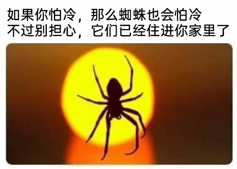 via 7号沙雕网友