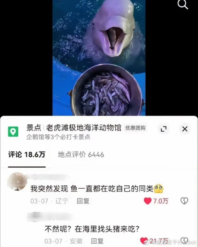 from ⚠️ 美图与沙雕 ⚠️｜频道可能会变质，但……from ⚠️ 美图与沙雕 ⚠️｜频道可能会变质，但……