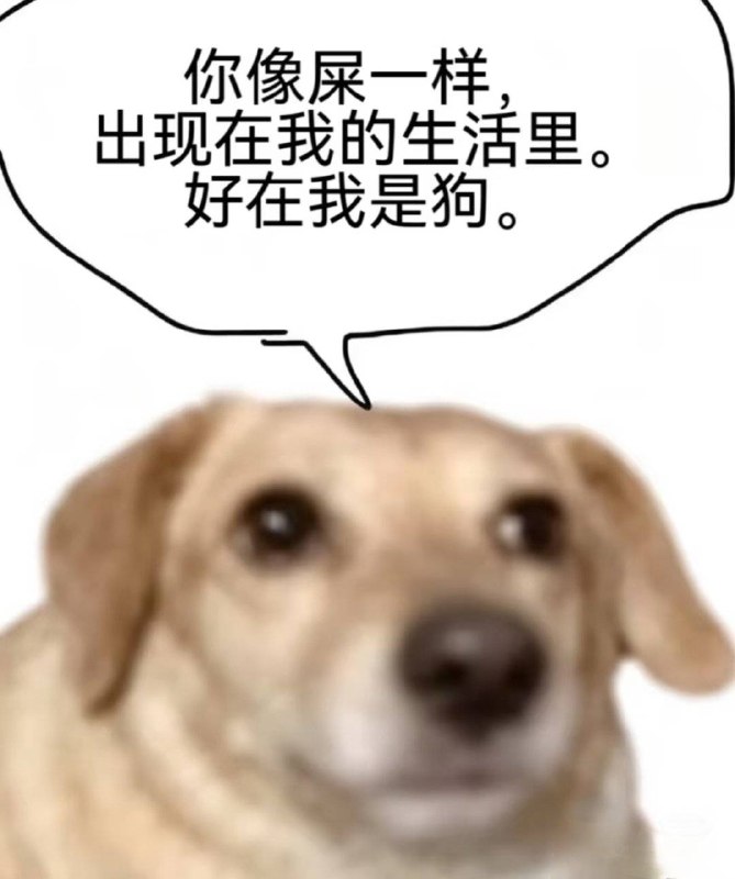 from 沙雕图（秽土转生） via my nbklsfrom 沙雕图（秽土转生） via my nbkls