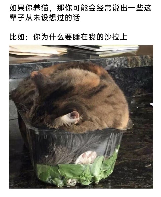 via 6号沙雕网友