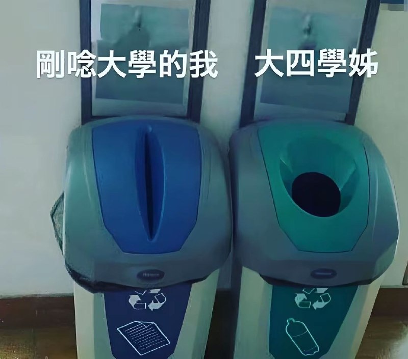 学姐辛苦啦！