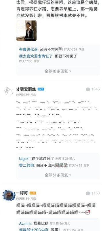 from 自用（沙雕图） via my nbklsfrom 自用（沙雕图） via my nbkls