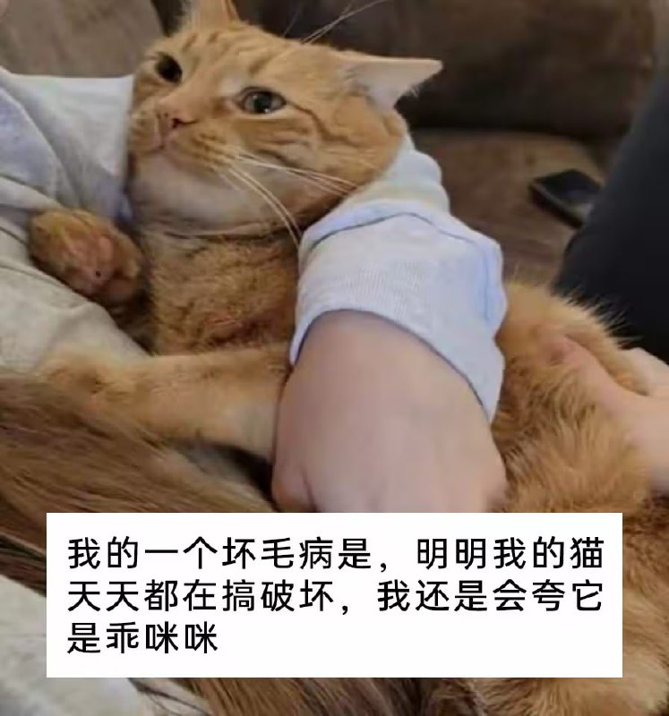 via 7号沙雕网友