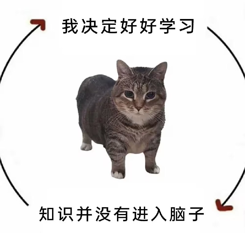 via 8号沙雕网友