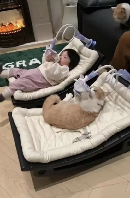 via 6号沙雕网友