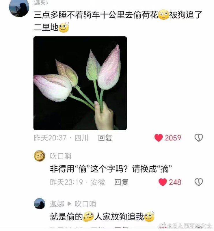from Oahiuz via Gary です
