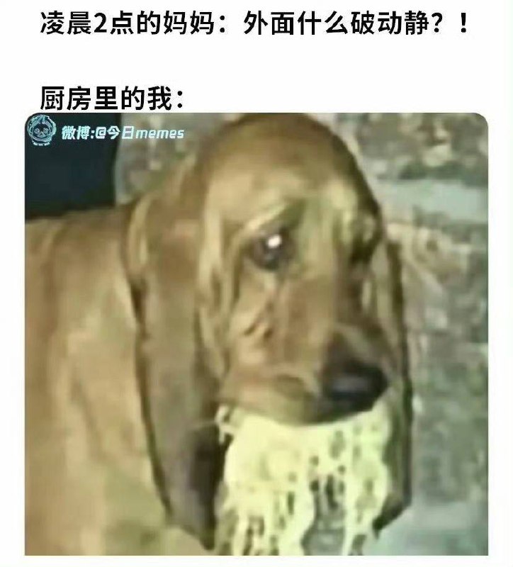 via 犯罪嫌疑人张某