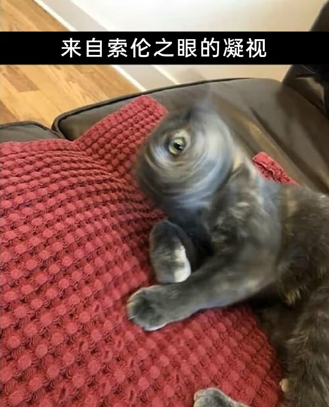 via 7号沙雕网友